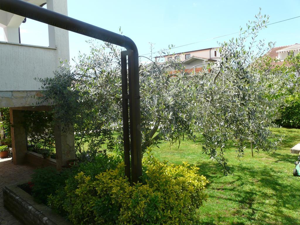 Apartments Mirela Poreč Exteriör bild